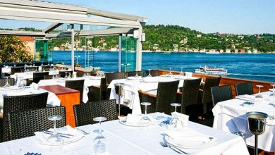 Sur Balık